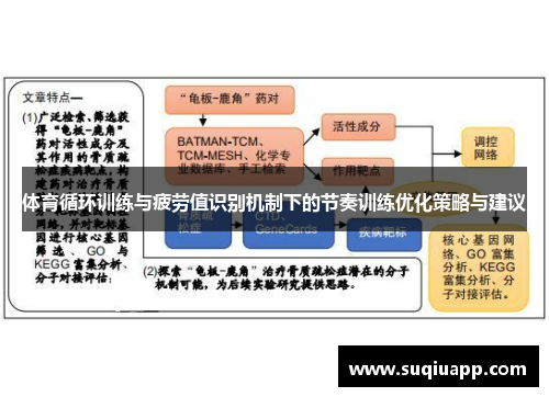 体育循环训练与疲劳值识别机制下的节奏训练优化策略与建议